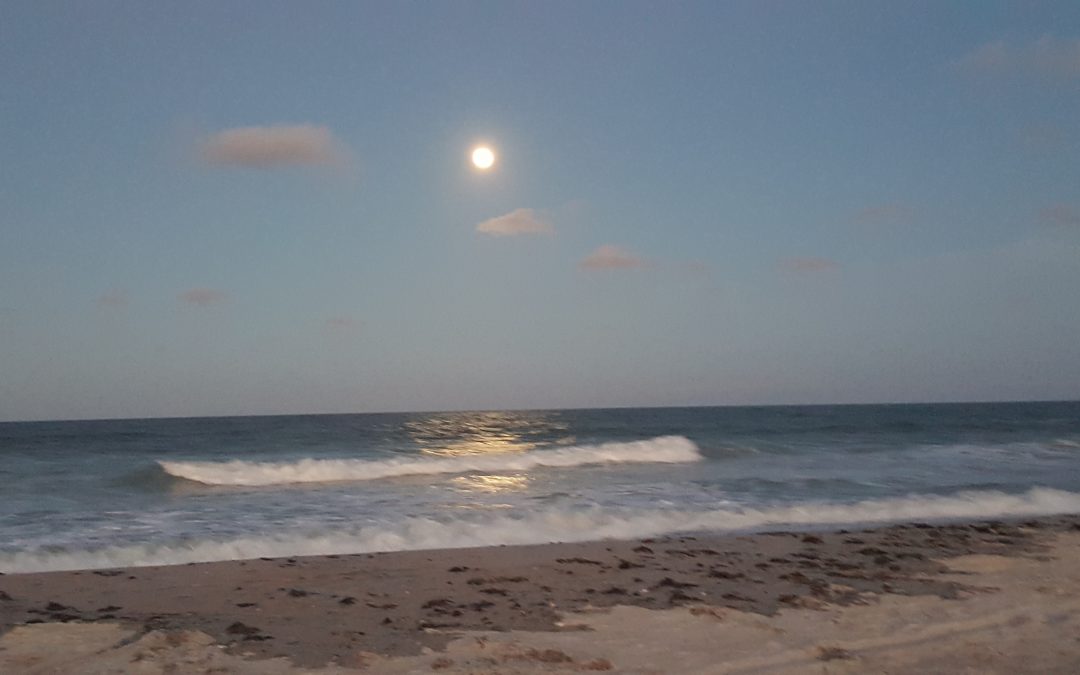 Test with video
